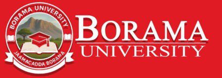 Borama University